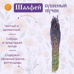 Шалфей пучок.