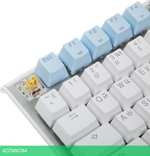 Клавиатура A4Tech Fstyler Neon синий/белый (FS100)
