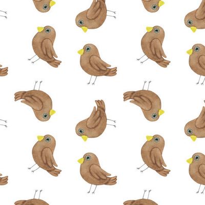 Птички акварель