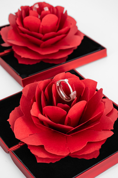 Футляр пластиковый "РАСЦВЕТАЮЩАЯ РОЗА"