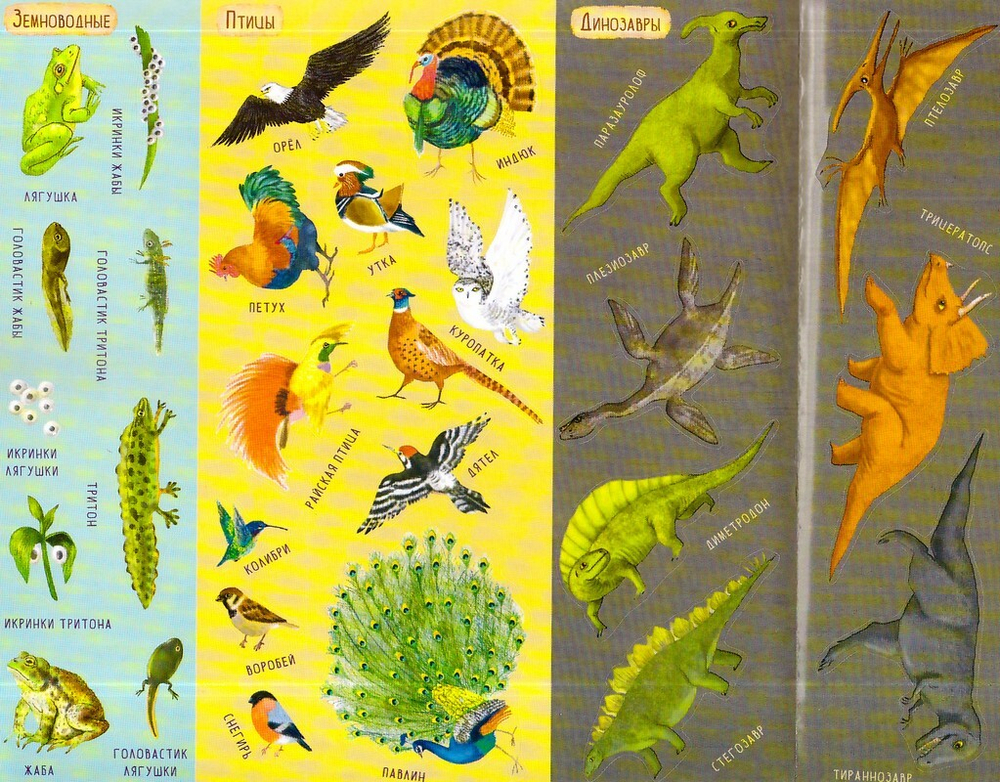 Дни творения. Татьяна Копяткевич