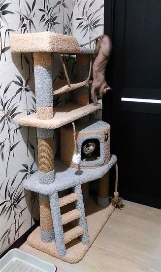 Дом для кота И-82