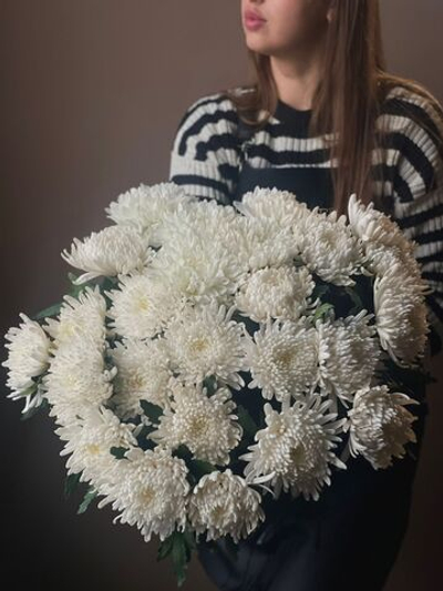 Хризантема одноголовая (Белая)
