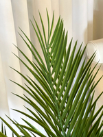 Пальма Дипсис 120 см.