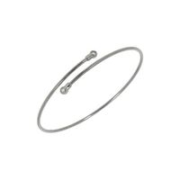 Pesavento DNA-Spring-Rutenio