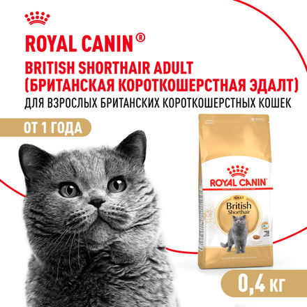 Royal Canin British Shorthair Adult Корм сухой сбалансированный для взрослых британских короткошерстных кошек - 0,4 кг