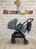 Коляска модульная Rant Vector Grey