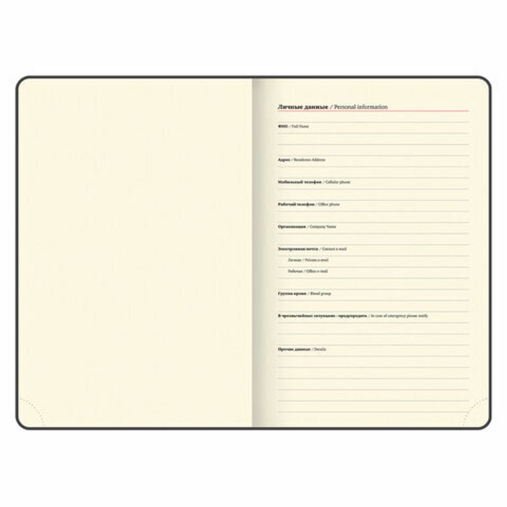 Ежедневник датированный 2025, А5, 138x213 мм, BRAUBERG "Comodo", под кожу, синий, 115776