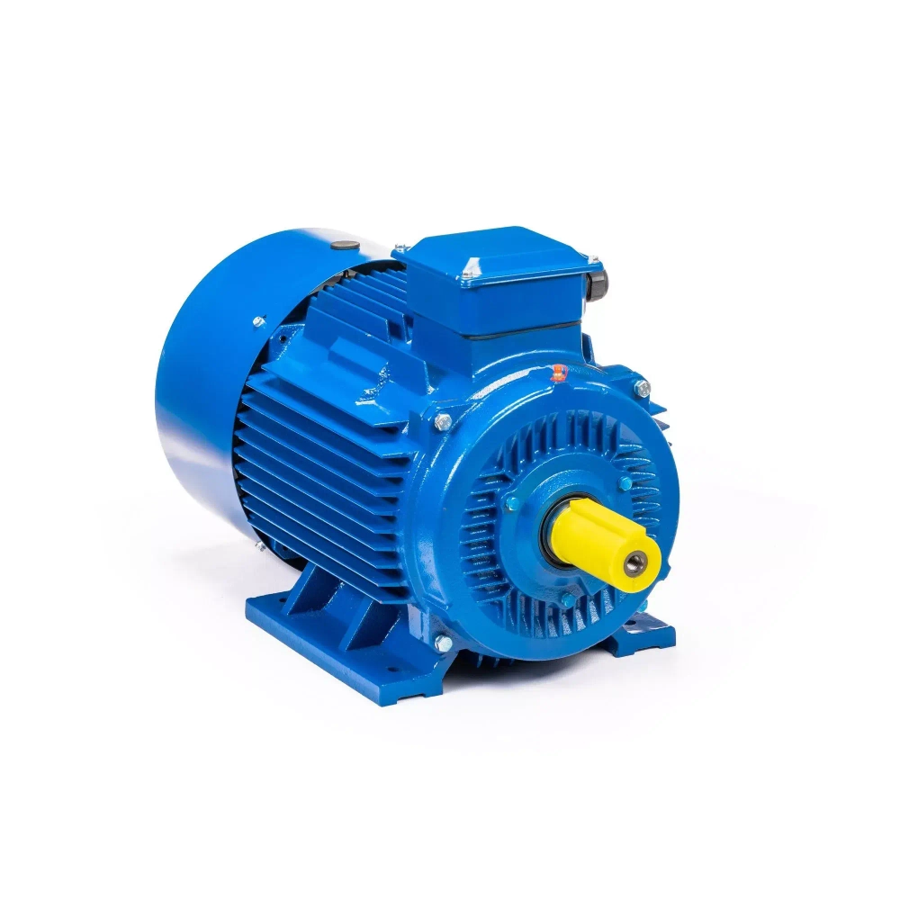 Электродвигатель 5АИ 200 L2 45/3000 IM1001