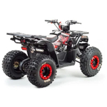 Квадроцикл MOTOLAND WILD 150