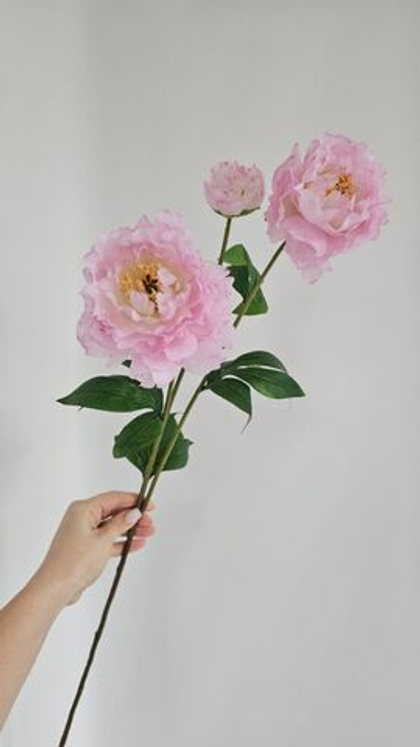 Пион крупный / Арт 2554