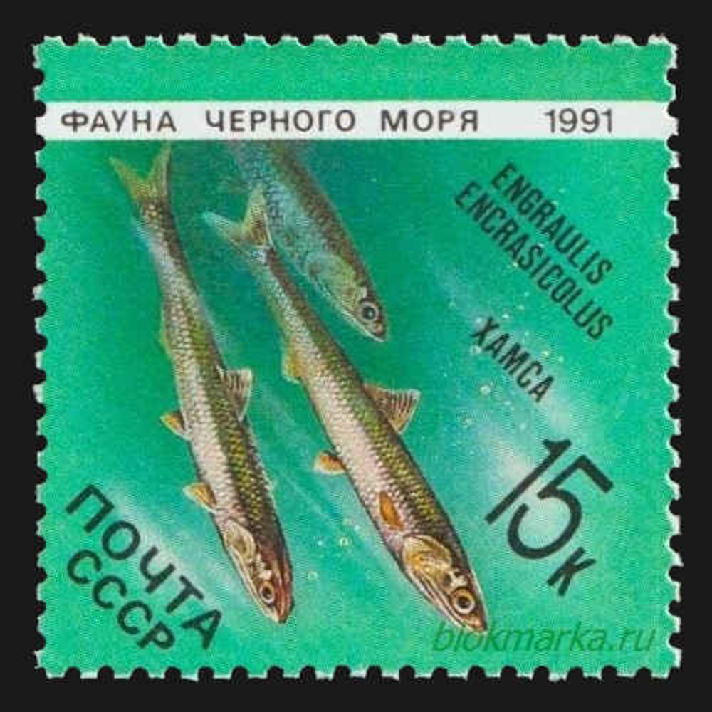 СССР 1991 г № 6279-6283 Серия Фауна Черного моря Чистая MNH **