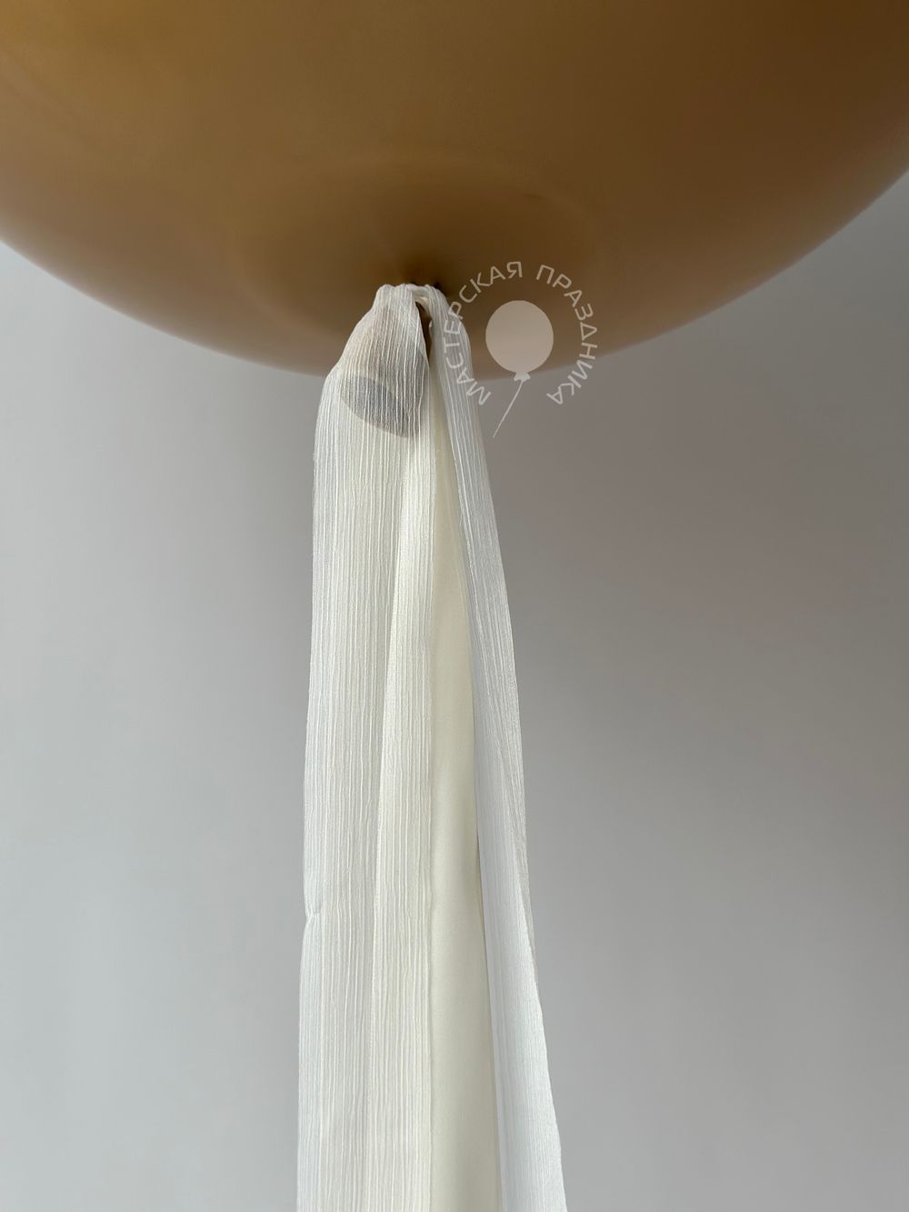 Воздушные шары на определение пола №8800  Изображение7