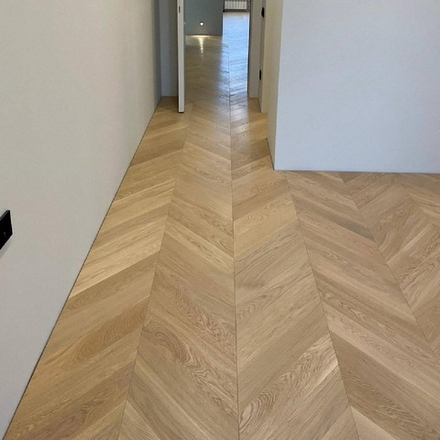 Дуб селект французская елка