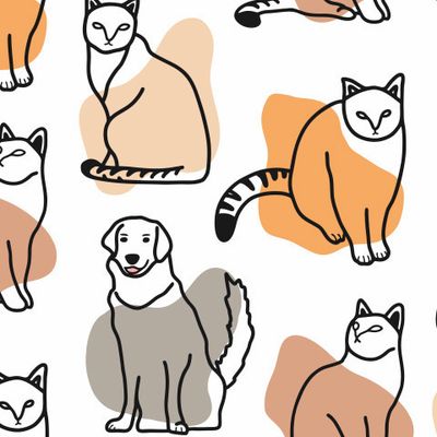 Как кошка с собакой
