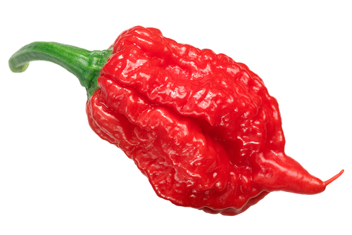 Каролина Рипер (Carolina Reaper) в ассортименте