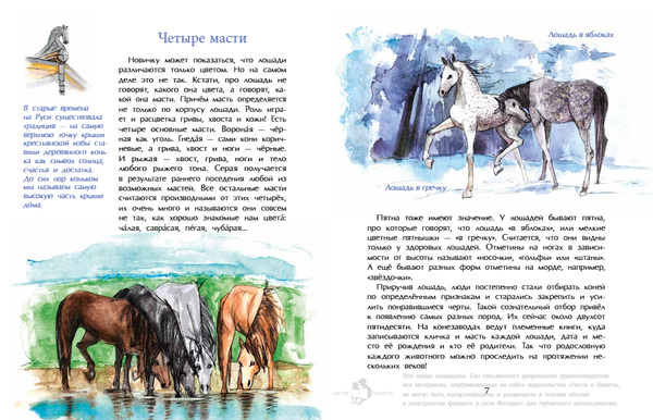 Кони. Дикие, благородные, знаменитые