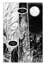 Манга Избранница луны