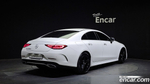 Mercedes-Benz CLS-Class C257 CLS300d AMG Line (08.2020)
