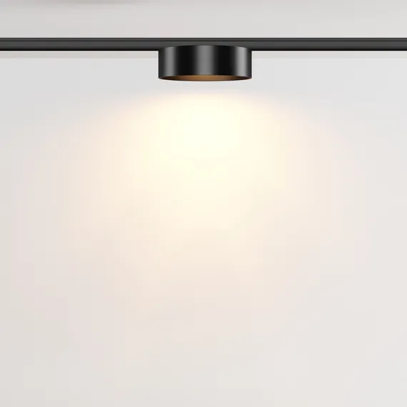 Трековый светильник Technical TR189-1-12W2.7K-B