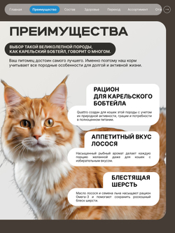Корм сухой для взрослых кошек породы Карельский бобтейл, с лососем, 2 кг, QUATTRO