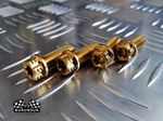 ТИТАНОВЫЙ БОЛТ M8 x 25 [ 2 шт ] ( для крепления суппорта ) DIO (ДИСКОВЫЕ ТОРМОЗА)