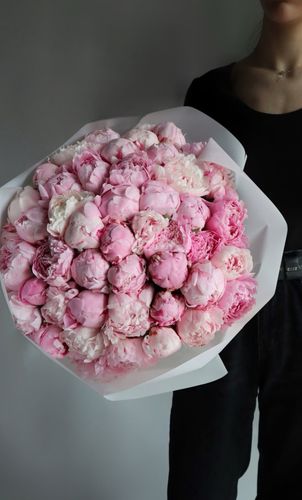 51 розовый пион