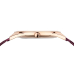 Наручные часы Bering 17031-969