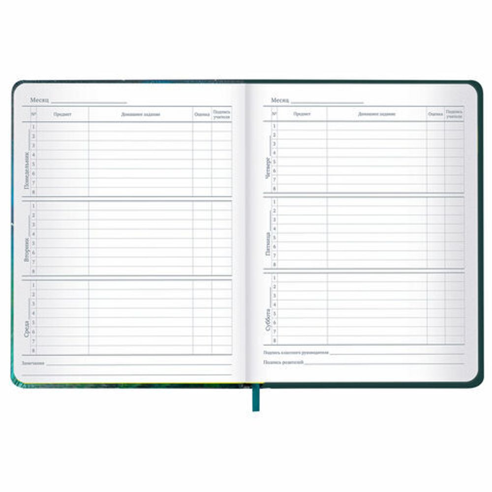 Дневник 1-11 класс 48 л., кожзам (твердая с поролоном), печать, резинка, конверт, BRAUBERG, "Мечты", 106949