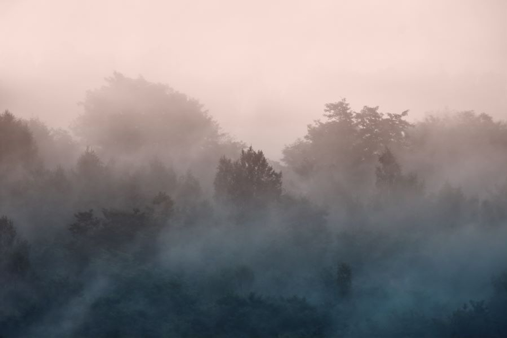 Фреска Applico, коллекция Natura