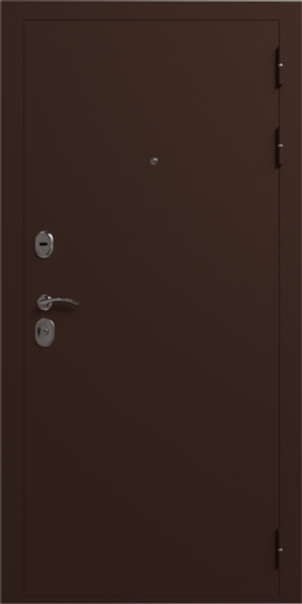 Дверь входная Лидер