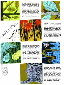 Большая охота. Книга знаний четвёртая | А.Б. Свирин