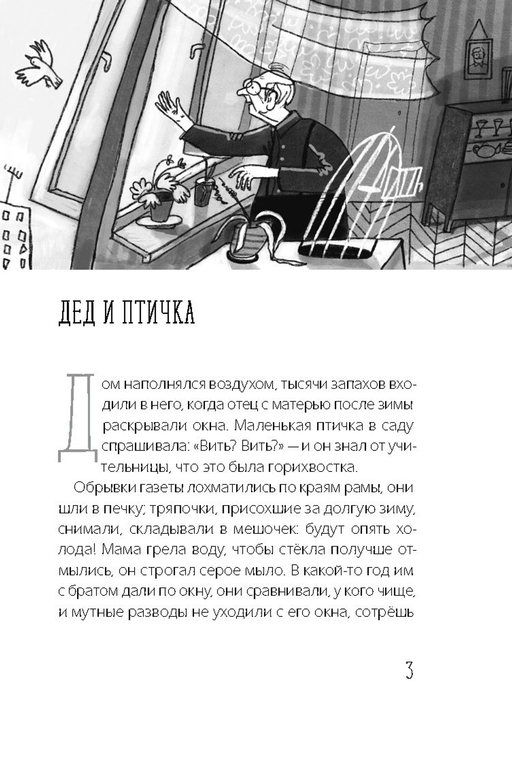 Наблюдатели