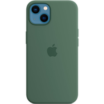 Силиконовый чехол с поддержкой MagSafe Apple Silicone Case для iPhone 13, Eucalyptus (Эвкалипт)