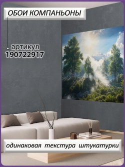 3D Фотообои утренний лес в тумане