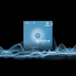 Stiga Mantra Control