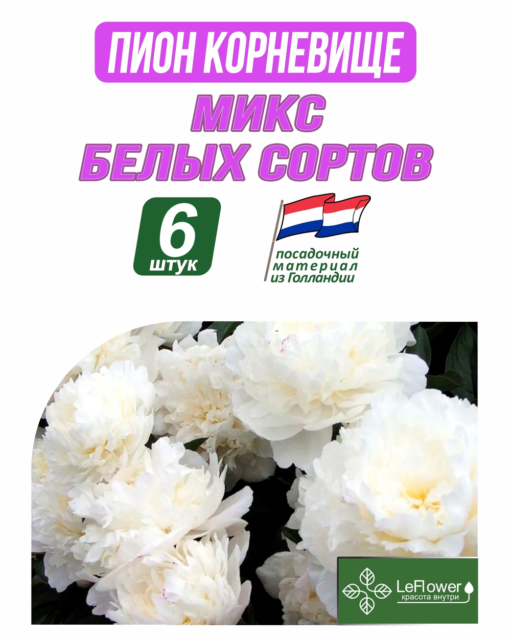 Пион Корневище, Микс белых сортов, 6шт