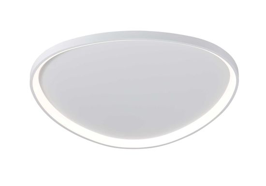 2550/850 WHITE (1) Потолочный светильник (RL)