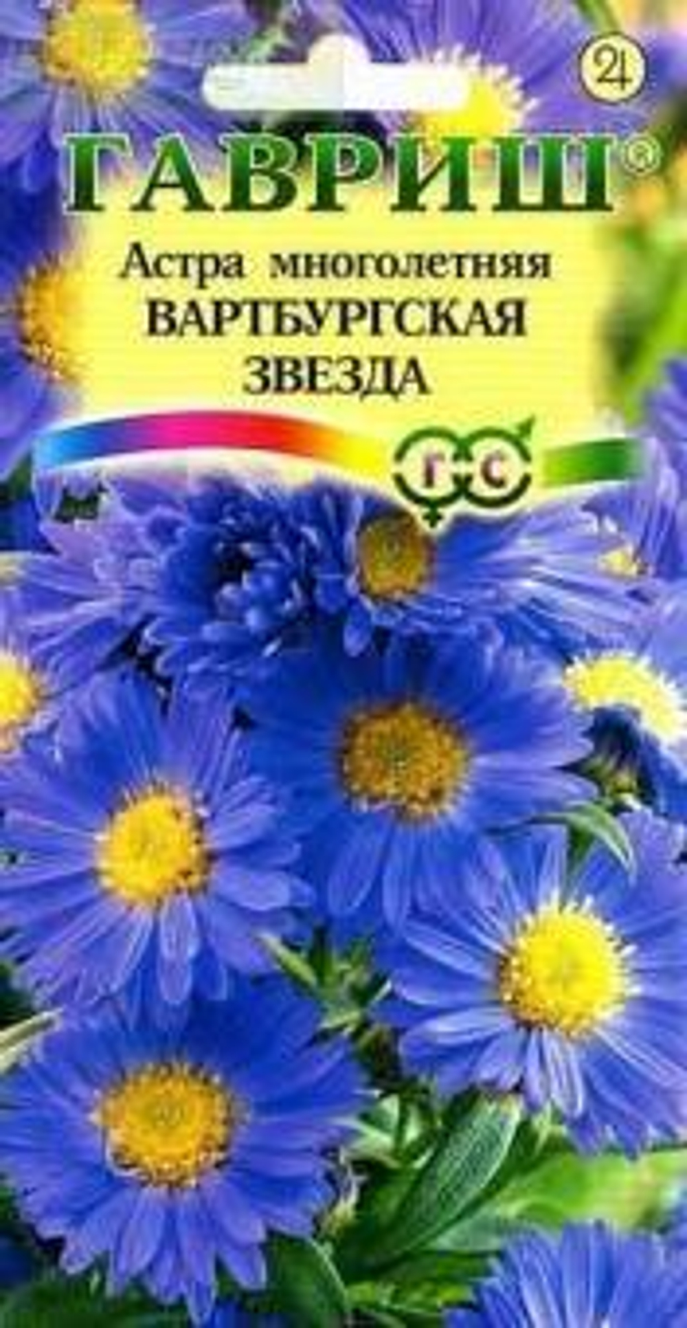Семена Астра многолетняя Вартбургская звезда