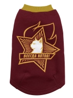 Одежда для сфинксов