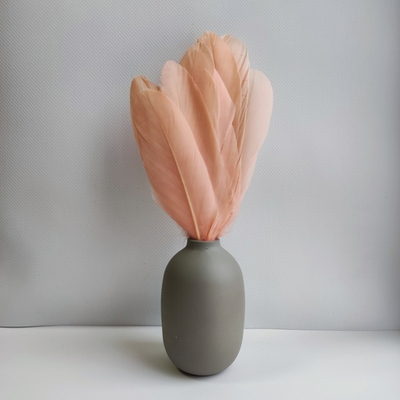 Гусиные перья спелый персик ровные 20шт.