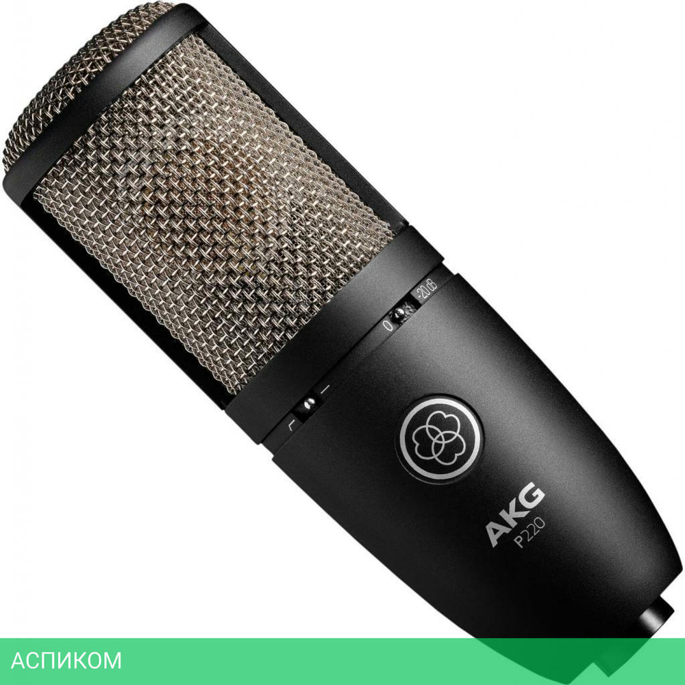 Микрофон AKG P220 (3101H00420)