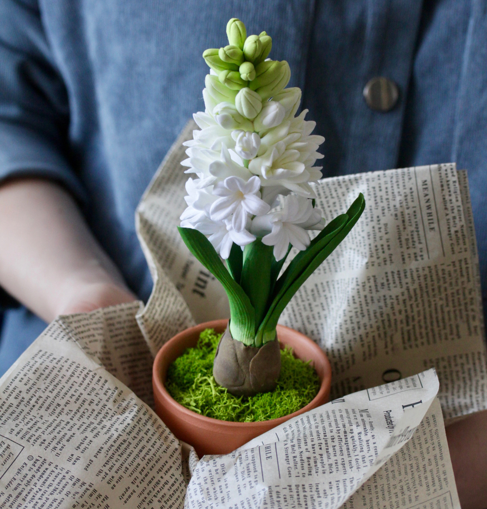 Гиацинт в подарок к празднику