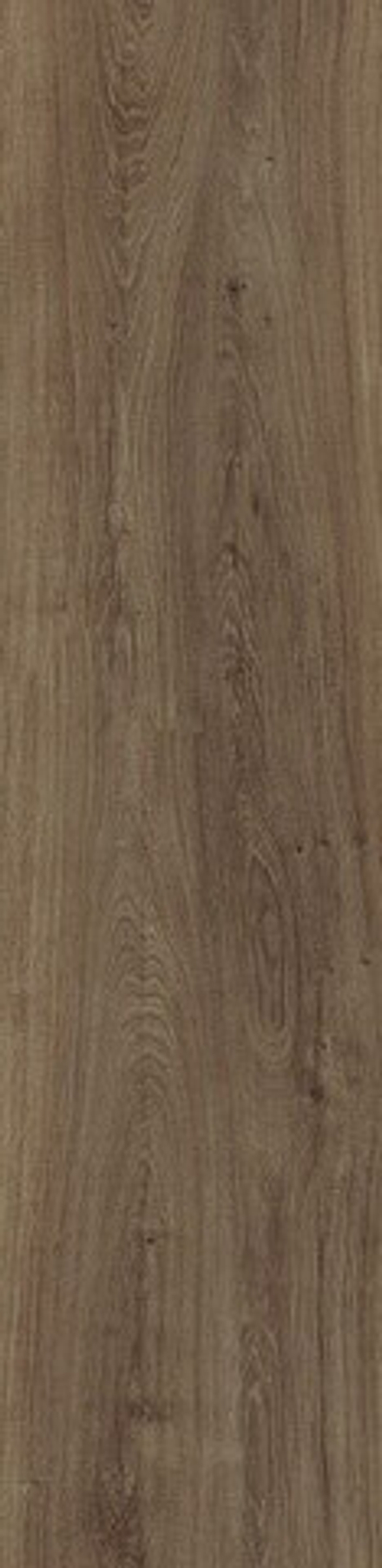Porcelanosa Forest Cognac 22x90