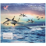 Самолет «Ястреб» 32*34 см USB