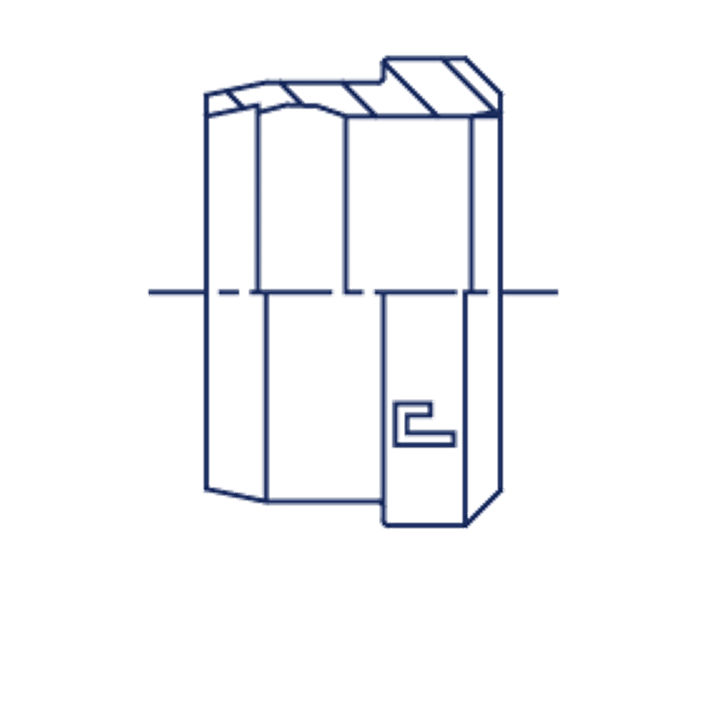 Кольцо R DL/DS06 (нерж.)