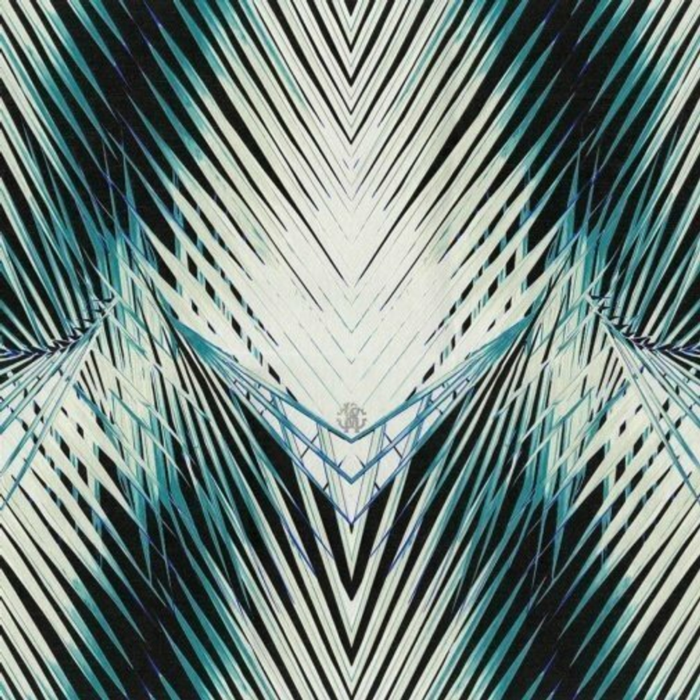 Обои ROBERTO CAVALLI Home 6 RC17001 1.06x10