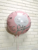 Фольгированный шар «С Днем Рождения. Котик», 46 см