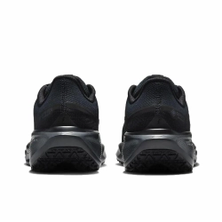 Женские кроссовки Nike Air Zoom Pegasus 41 'Black' FQ1357-001