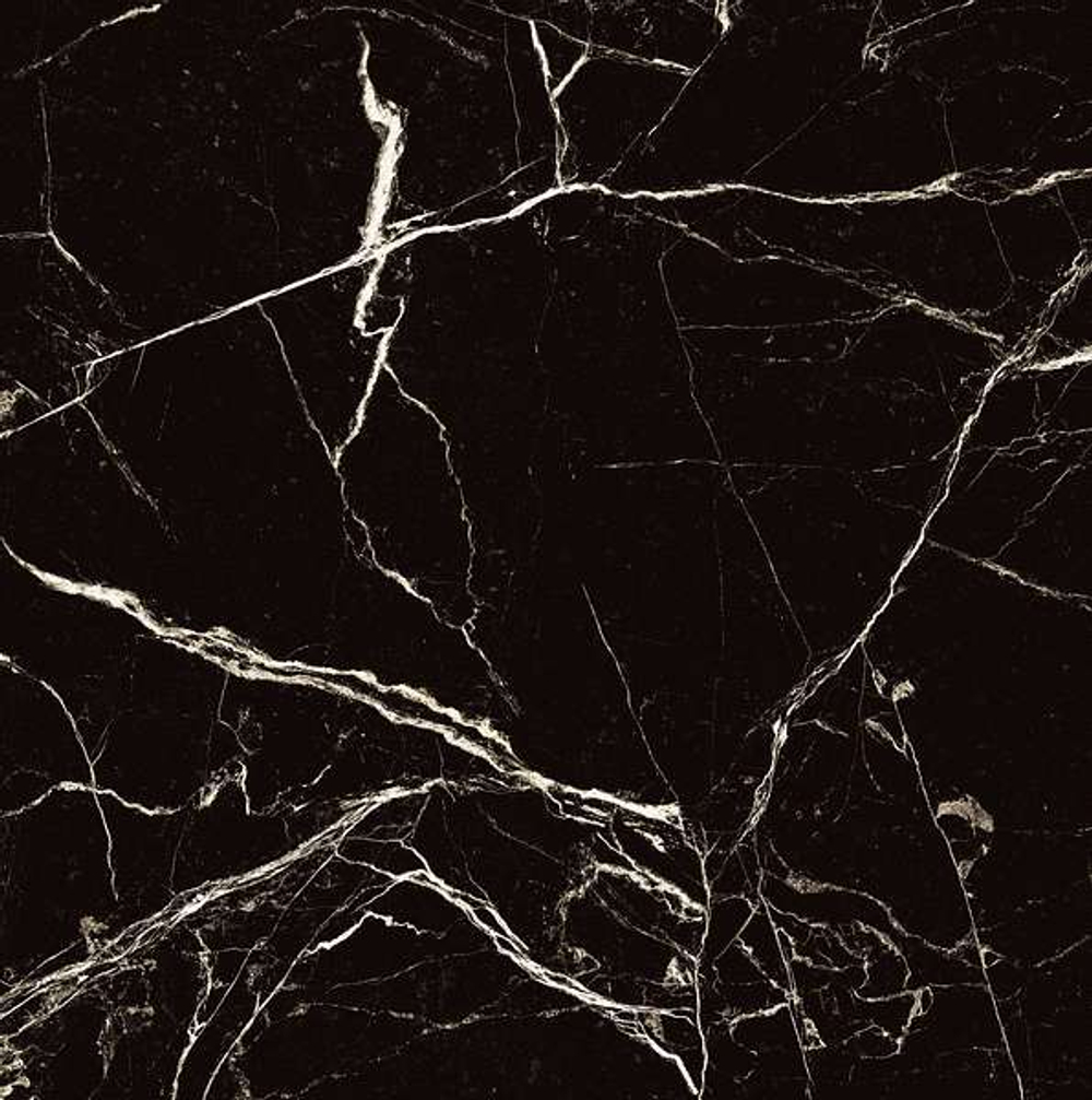 BLACK SPINDER HG2008-A